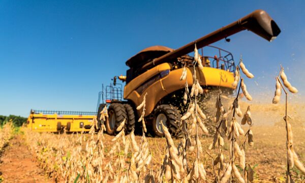 Do recorde à queda: PIB do agro pode recuar 3% com El Niño em 2026