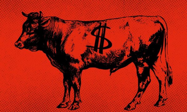 ‘Pecuaristas em 1º lugar’: o plano de Trump para o setor da carne dos