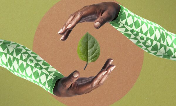 Perspectivas atuais sobre investimentos sustentáveis
