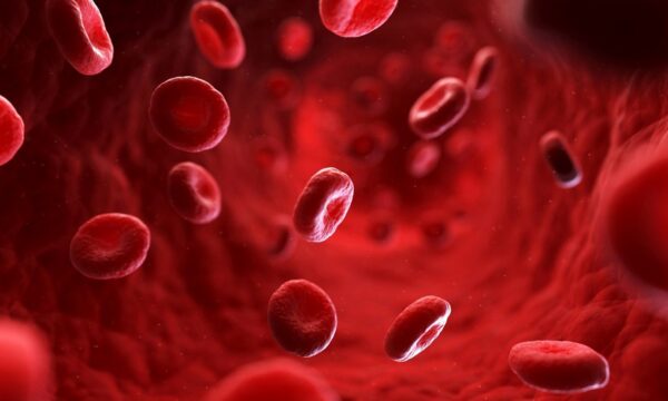 Horário do exame de sangue pode influenciar diagnóstico de anemia, apo