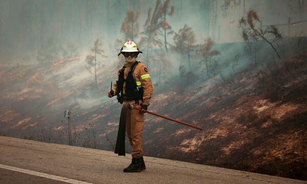 Incêndios florestais podem queimar 39% mais áreas da Europa, mesmo no
