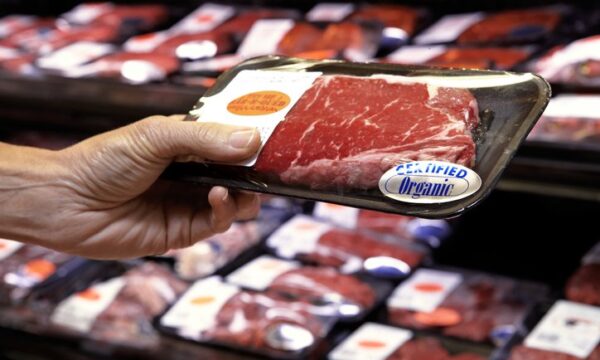 A boiada de Trump: Brasil e Argentina disputam 300 mil toneladas de carne nos EUA