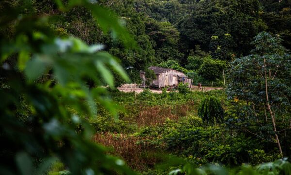 Minerais críticos são oportunidade para redefinir o desenvolvimento da