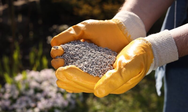 Senado aprova texto que cria crédito à produção de fertilizantes no Br