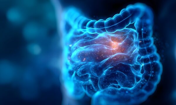 Como bactérias intestinais ‘treinam’ o intestino para combater a inflamação