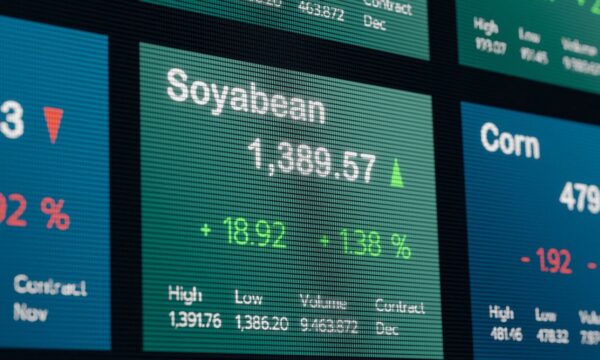 Por que Minerva (BEEF3) e SLC Agrícola (SLCE3) decolam na Bolsa nesta