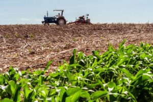 Adecoagro (AGRO): fertilizantes são destaque no 2T26, mas forte impuls