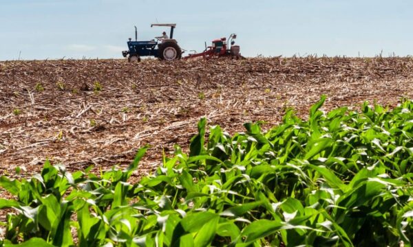 Adecoagro (AGRO): fertilizantes são destaque no 2T26, mas forte impulso pode ter chegado ao fim; é compra?