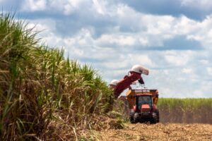 Preço agrícola competitivo do Brasil deve incitar barreiras externas,