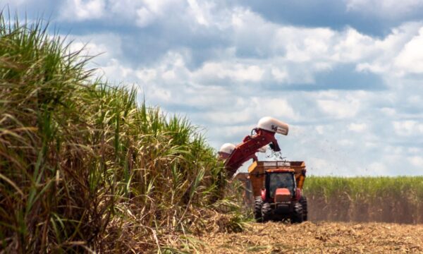 Preço agrícola competitivo do Brasil deve incitar barreiras externas,