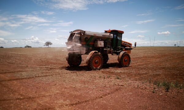 Clima e tensões globais impulsionam soja e milho, enquanto carne bovin