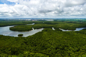 AMAB11: O ETF do BTG Pactual que conecta investimentos ao desenvolvime