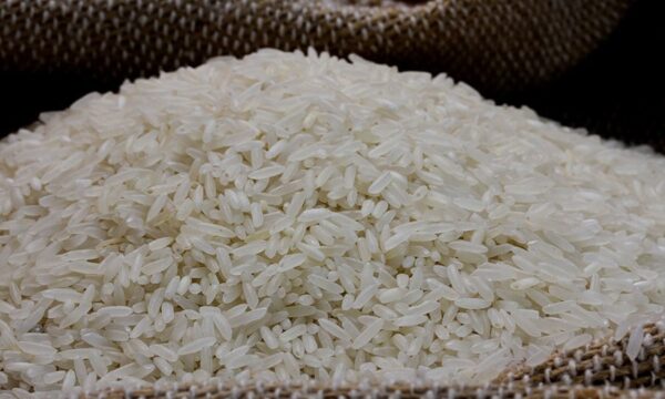 Arroz sobe no Rio Grande do Sul com oferta restrita e produtor fora do mercado