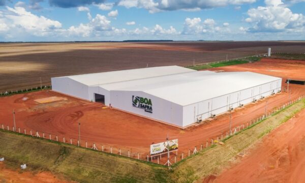 Boa Safra (SOJA3) dispara 18% com recorde para carteira de pedidos no
