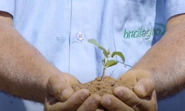 BrasilAgro (AGRO3): Itaú BBA espera 4T26 fraco e volta atenções para nova safra