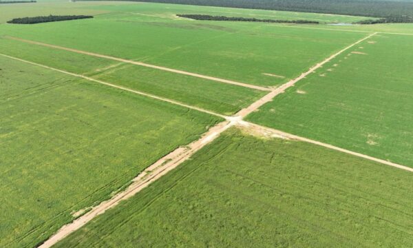 BrasilAgro (AGRO3) está ‘sempre pronta’ para compra imperdível — e não