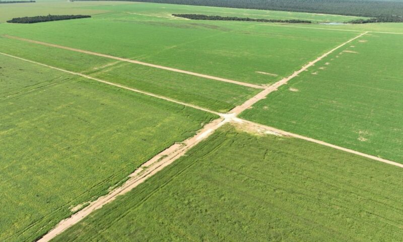 BrasilAgro (AGRO3) está ‘sempre pronta’ para compra imperdível — e não