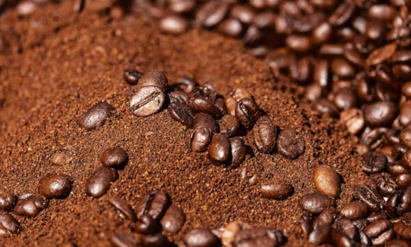 Café dispara à medida que estoques de arábica na bolsa se aproximam da
