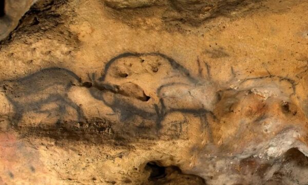 Carvão oculto desvenda a idade real de pinturas rupestres após mais de um século