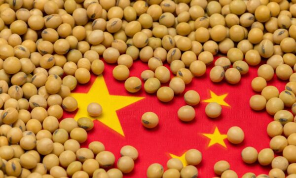Estatais chinesas fecham grandes compras de soja dos EUA