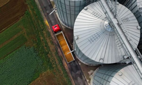 Por que os preços das commodities agrícolas acompanham cada vez mais o