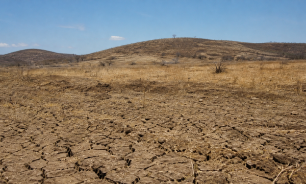COP17 adia acordo global sobre secas e lança iniciativas paralelas