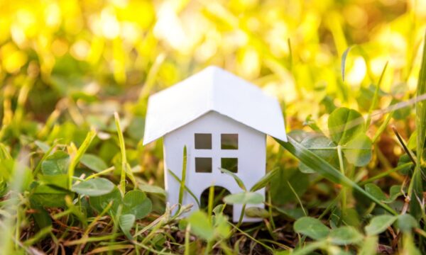 Crédito rural ambiental: resoluções do CMN, sensoriamento remoto e controvérsia jurídica