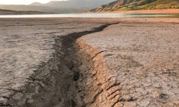 Brasil chega a COP17, da desertificação, sob pressão para restaurar Ce