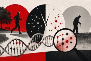 Qual é a sua idade biológica? Estudo explica como funcionam os relógio