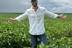 MP 1.376 cria crédito para compor dívida rural