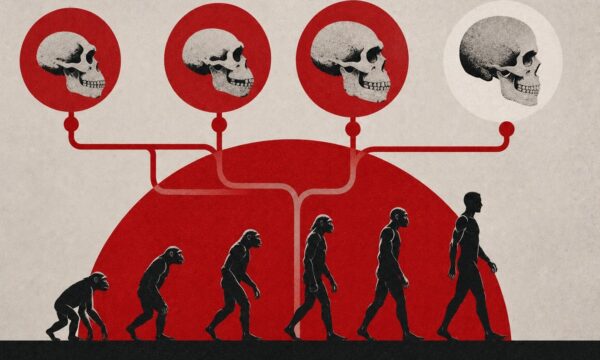 Cientistas propõem grande revisão na árvore genealógica da humanidade