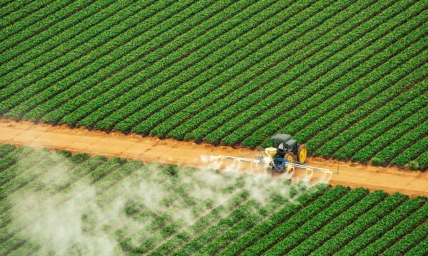 Senado aprova plano para fabricação de fertilizantes no Brasil e texto