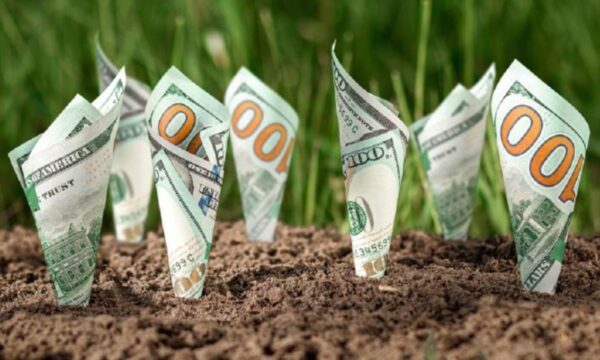 Fundo imobiliário do agronegócio recebe R$ 48,8 milhões por recompra d