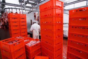 MBRF (MBRF3) espera recuperar caixa no 2º semestre e prevê redução de