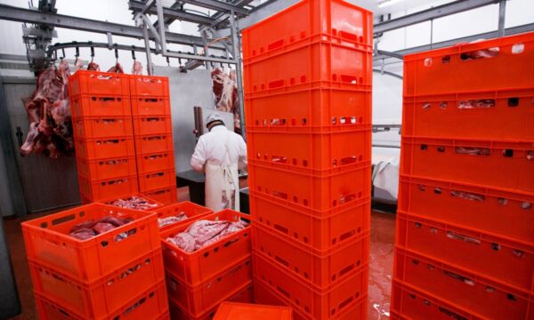 MBRF (MBRF3) espera recuperar caixa no 2º semestre e prevê redução de