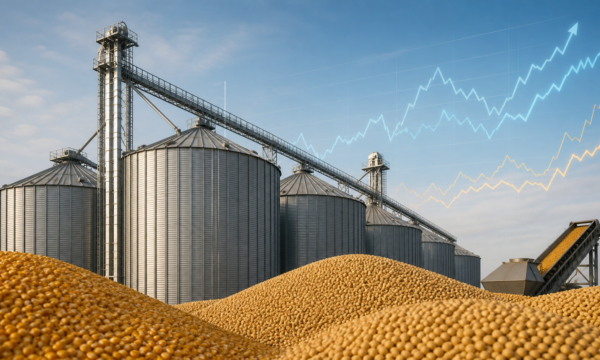 IC-Br cai 0,57% em julho, com alta das commodities agropecuárias