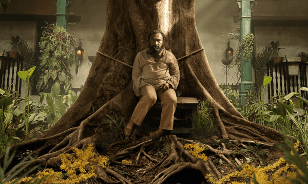 Lançamentos da Netflix em agosto de 2026: veja os filmes e as séries
