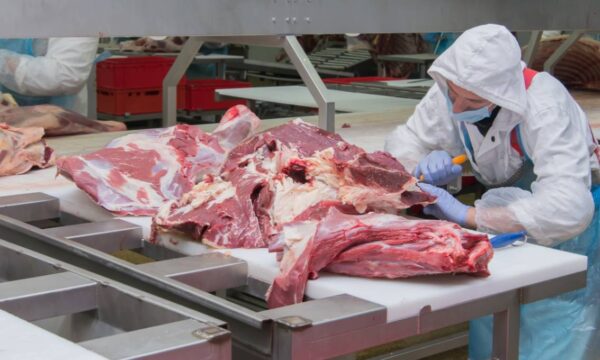 Abiec: cota de carne dos EUA é oportunidade para indústria, mas com efeito reduzido em margens