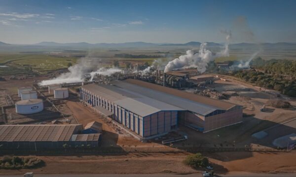Jalles (JALL3) aprova financiamento de R$ 300 milhões com o BNDES