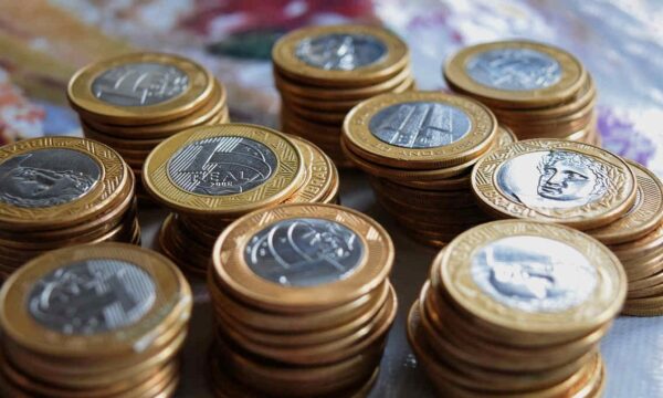 Itaúsa (ITSA4), Petrobras (PETR4) e mais ações para embolsar dividendos, segundo a Terra Investimentos