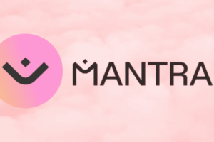 MANTRA Chain congela rede e derruba criptomoeda nativa, que acumula de