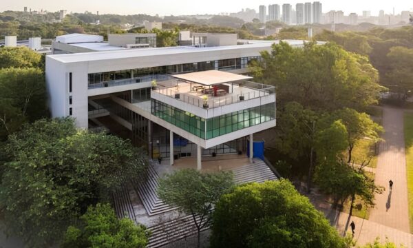 Nheengatu ou Bororo: a USP escolhe qual língua brasileira entra na IA