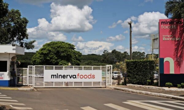 Minerva (BEEF3): Bank of America corta preço-alvo por causa deste indicador da empresa; veja qual