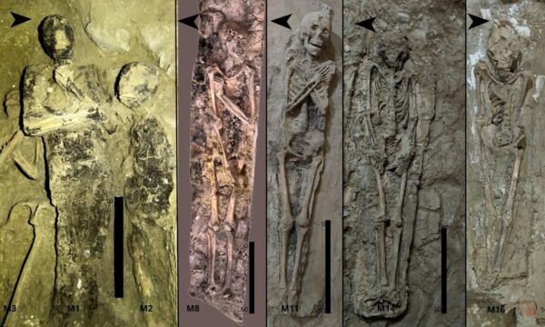 16 múmias e um cachorro: tumba egípcia revela 700 anos de rituais funerários
