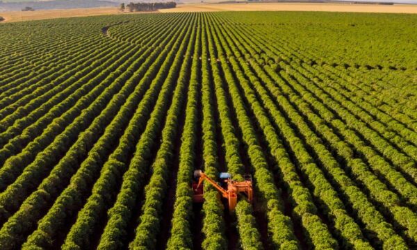 Banco do Brasil (BBAS3) vê melhora no agro com MP, mas provisões podem