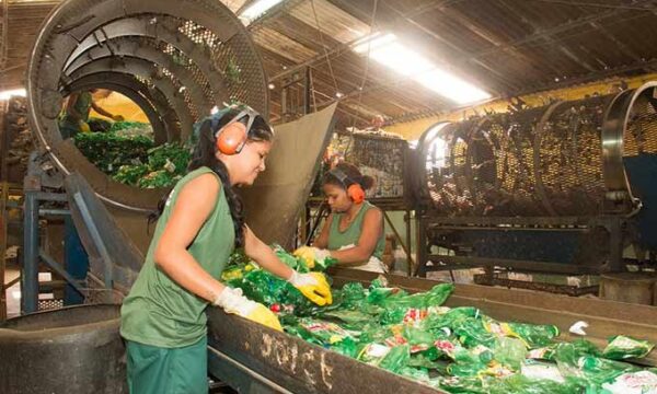 Opinião: É hora da reciclagem brasileira sair da retórica e entrar na