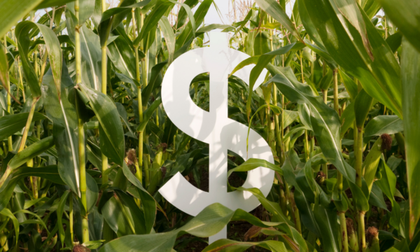 BTG Pactual lança megaoferta de até R$ 20 bilhões de Fiagro, com retorno-alvo de até 97% do CDI