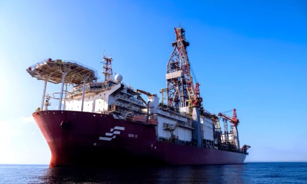 Petrobras terá que levar nove peixes-boi para centros de fauna, determina Ibama