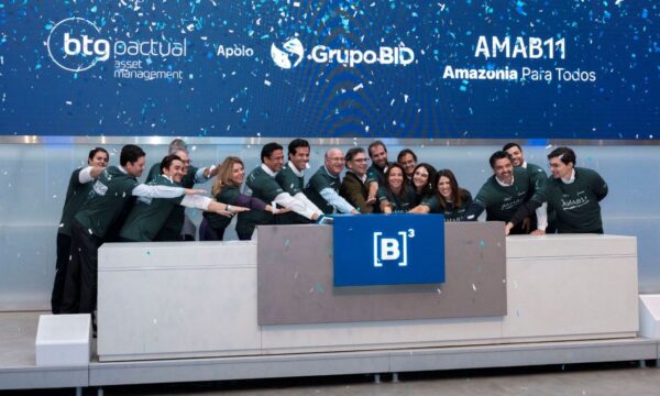 Quer diversificar a carteira? Novo ETF do BTG investe na Amazônia a partir de R$ 10