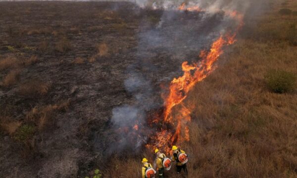 El Niño eleva alerta para incêndios, e governo articula prevenção com